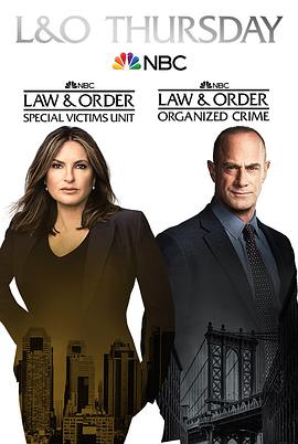 法律与秩序：组织犯罪 第2季